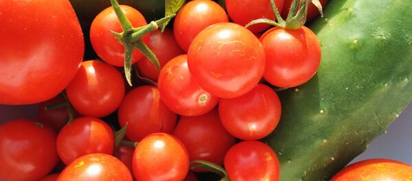 Огурцы и помидоры - Sputnik Беларусь