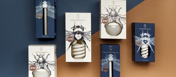 Упакоўка для беларускіх лямпачак - Sputnik Беларусь