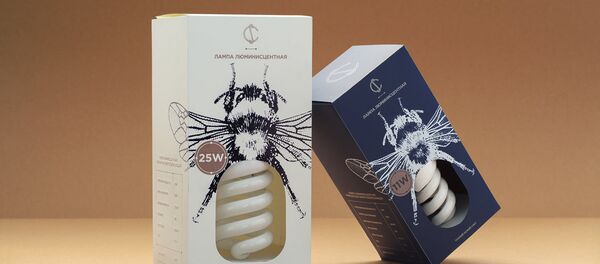 Упаковка для белорусских лампочек - Sputnik Беларусь