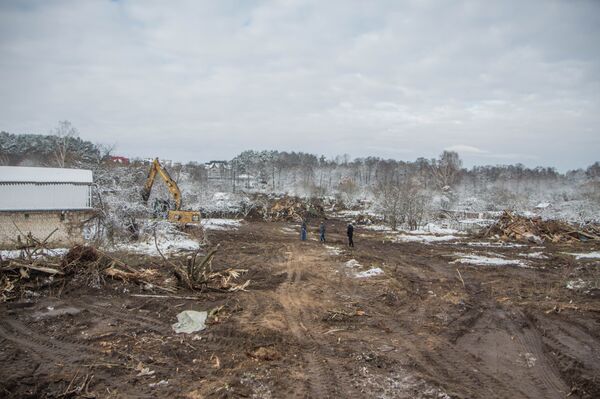 Эти территории расчистят, а весной сделают зону отдыха для горожан - Sputnik Беларусь