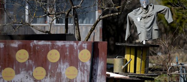 Пугало на приусадебном участке - Sputnik Беларусь