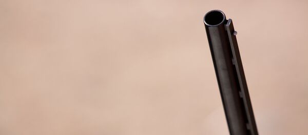 Охотничье ружье, архивное фото Охотничье ружье, архивное фото - Sputnik Беларусь