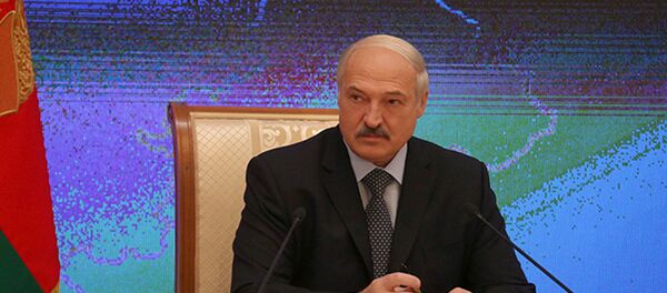 Лукашенко дает пресс-конференцию российским СМИ - Sputnik Беларусь
