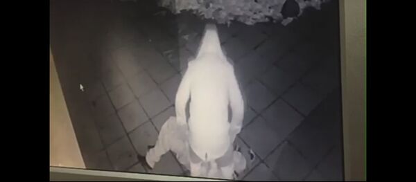 ГУВД опубликовал видео жестокого нападения на женщину в Минске - Sputnik Беларусь