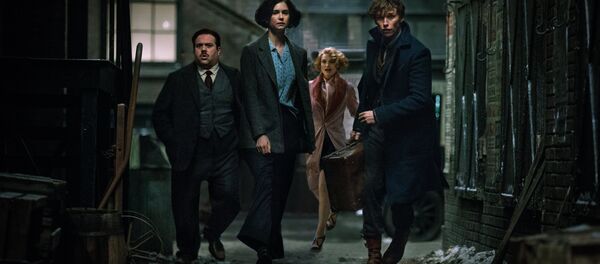 Кадр из фильма Фантастические твари и где они обитают - Sputnik Беларусь