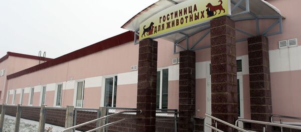Гостиница для животных в Минске - Sputnik Беларусь