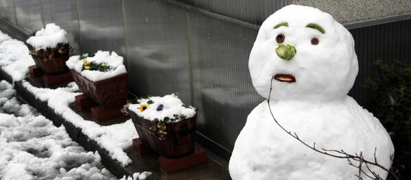 Снегавік падчас адлігі - Sputnik Беларусь