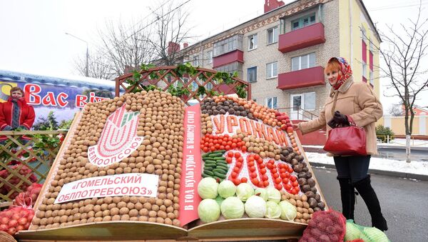 Книга из овощей на Дожинках в Гомельской области - Sputnik Беларусь