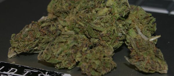 Марихуана - Sputnik Беларусь