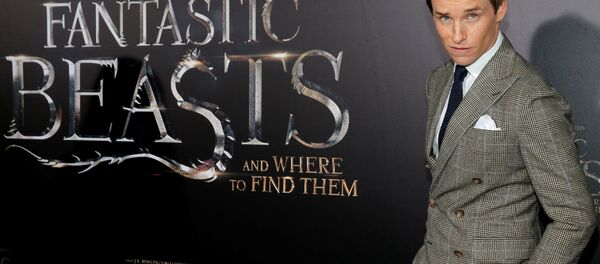 Прэзентацыя фільма Фантастычныя стварэнні і дзе яны жывуць - Sputnik Беларусь