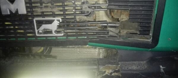 Мужчина погиб под колесами фуры в Пружанском районе - Sputnik Беларусь