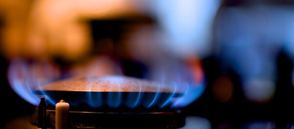 Огонь газовой горелки, архивное фото - Sputnik Беларусь