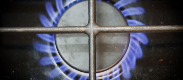 Горелка газовой плиты Горелка газовой плиты - Sputnik Беларусь