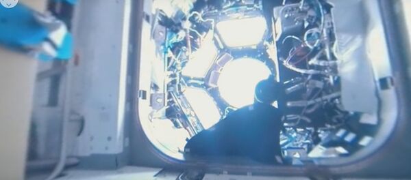 Как все устроено: космонавты показали панораму внутри МКС - Sputnik Беларусь