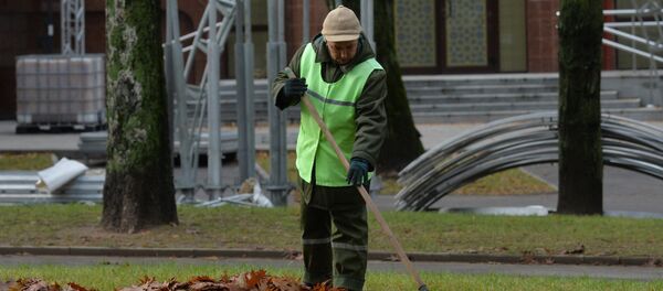Уборка листьев с газона - Sputnik Беларусь
