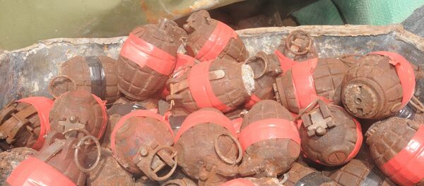 Гранаты - Sputnik Беларусь