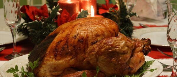 Индейка ко Дню благодарения Индейка ко Дню благодарения - Sputnik Беларусь