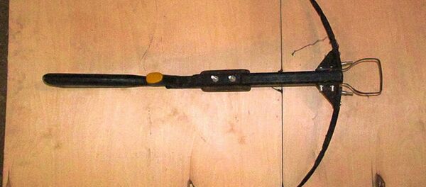 Арбалет, найденный у жителя Гродно - Sputnik Беларусь