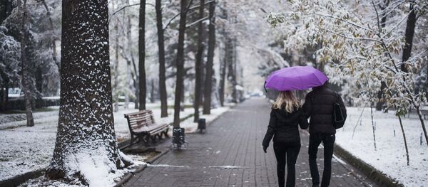 Первый снег - Sputnik Беларусь