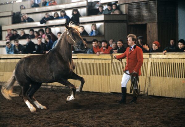 Демонстрация лошади - Sputnik Беларусь