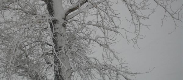 Мокрый снег - Sputnik Беларусь