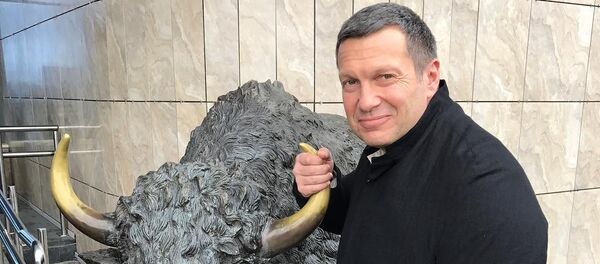 Владимир Соловьев в аэропорту Минска Владимир Соловьев в аэропорту Минска - Sputnik Беларусь