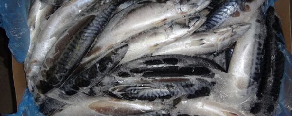 Свежезамороженная рыба - Sputnik Беларусь