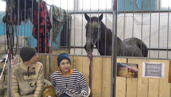 Выставка породистых лошадей в Минске - Sputnik Беларусь