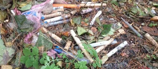 Градусники - Sputnik Беларусь