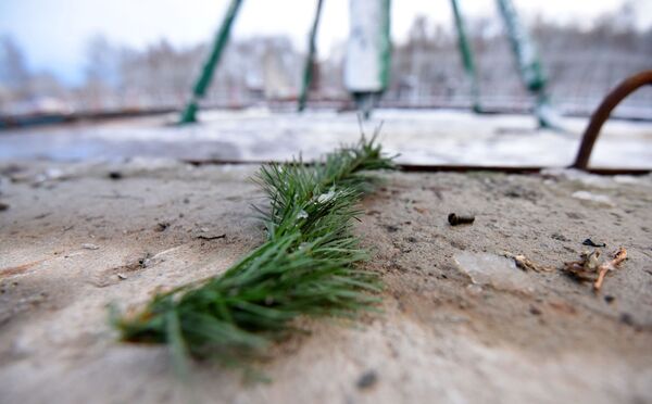 На металлический каркас навесят более 1,5  тысяч искусственных еловых лап - Sputnik Беларусь