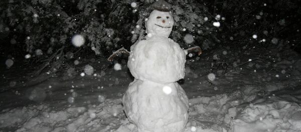 Снеговик - Sputnik Беларусь