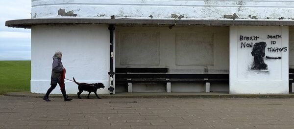 Опрос выявил большое число евроскептиков в Евросоюзе - Sputnik Беларусь