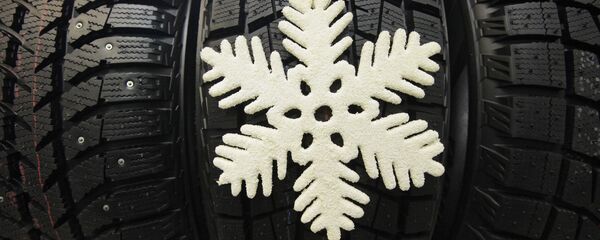 Зимняя резина в магазине по продаже шин - Sputnik Беларусь