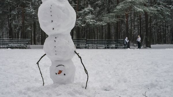 Вясёлы снегавік у парку - Sputnik Беларусь