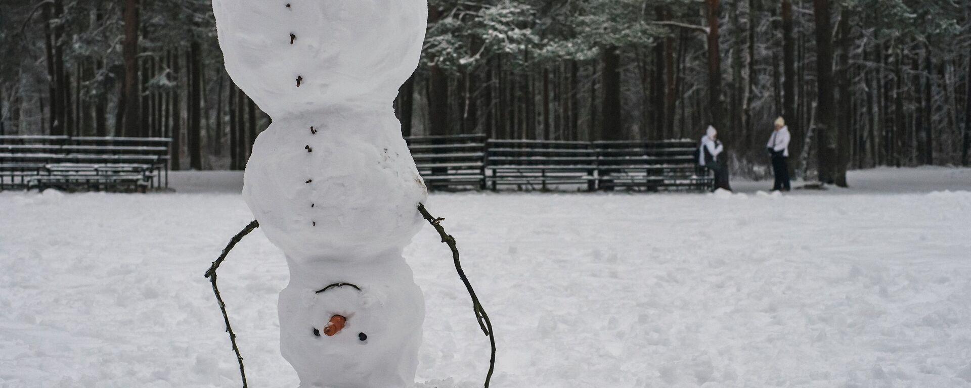 Вясёлы снегавік у парку - Sputnik Беларусь, 1920, 23.12.2021