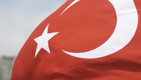 Флаг Турции, архивное фото - Sputnik Беларусь