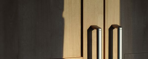 Дверцы шкафа - Sputnik Беларусь