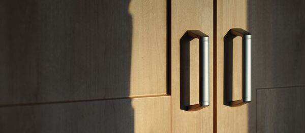 Дверцы шкафа - Sputnik Беларусь