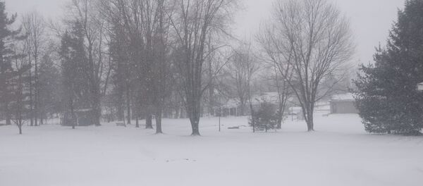 Метель Метель - Sputnik Беларусь