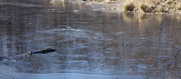 Полынья на реке - Sputnik Беларусь