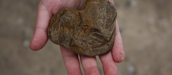 Камень в руке Камень в руке - Sputnik Беларусь