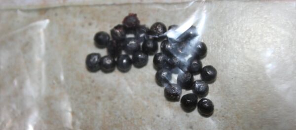 Дробь, которой стреляли в собаку - Sputnik Беларусь