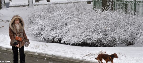 Снег в Минске Снег в Минске - Sputnik Беларусь