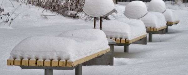 Зима в парке - Sputnik Беларусь