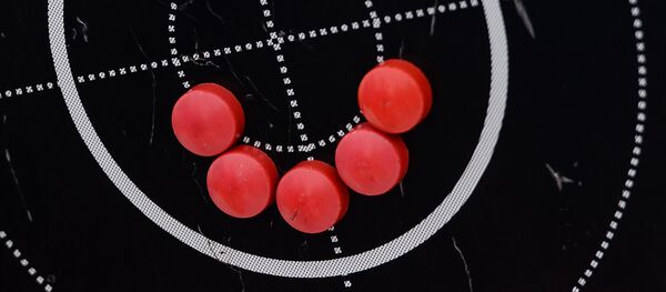 Магнитная доска с мишенью одного из тренеров, архивное фото - Sputnik Беларусь