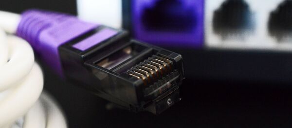 Интернет-кабель - Sputnik Беларусь