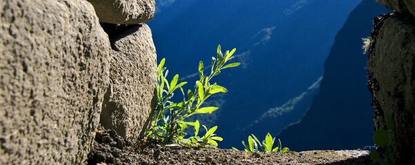 Мачу-Пикчу Мачу-Пикчу - Sputnik Беларусь