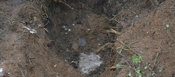 Яма, где нашли тело пропавшего Яма, где нашли тело пропавшего - Sputnik Беларусь