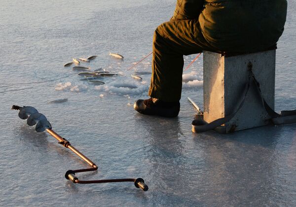 Фестивали по всей столице и ночные катания: куда пойти 23 декабря в Минске - Sputnik Беларусь
