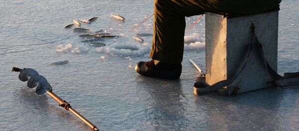 Зимняя рыбалка, архивное фото - Sputnik Беларусь